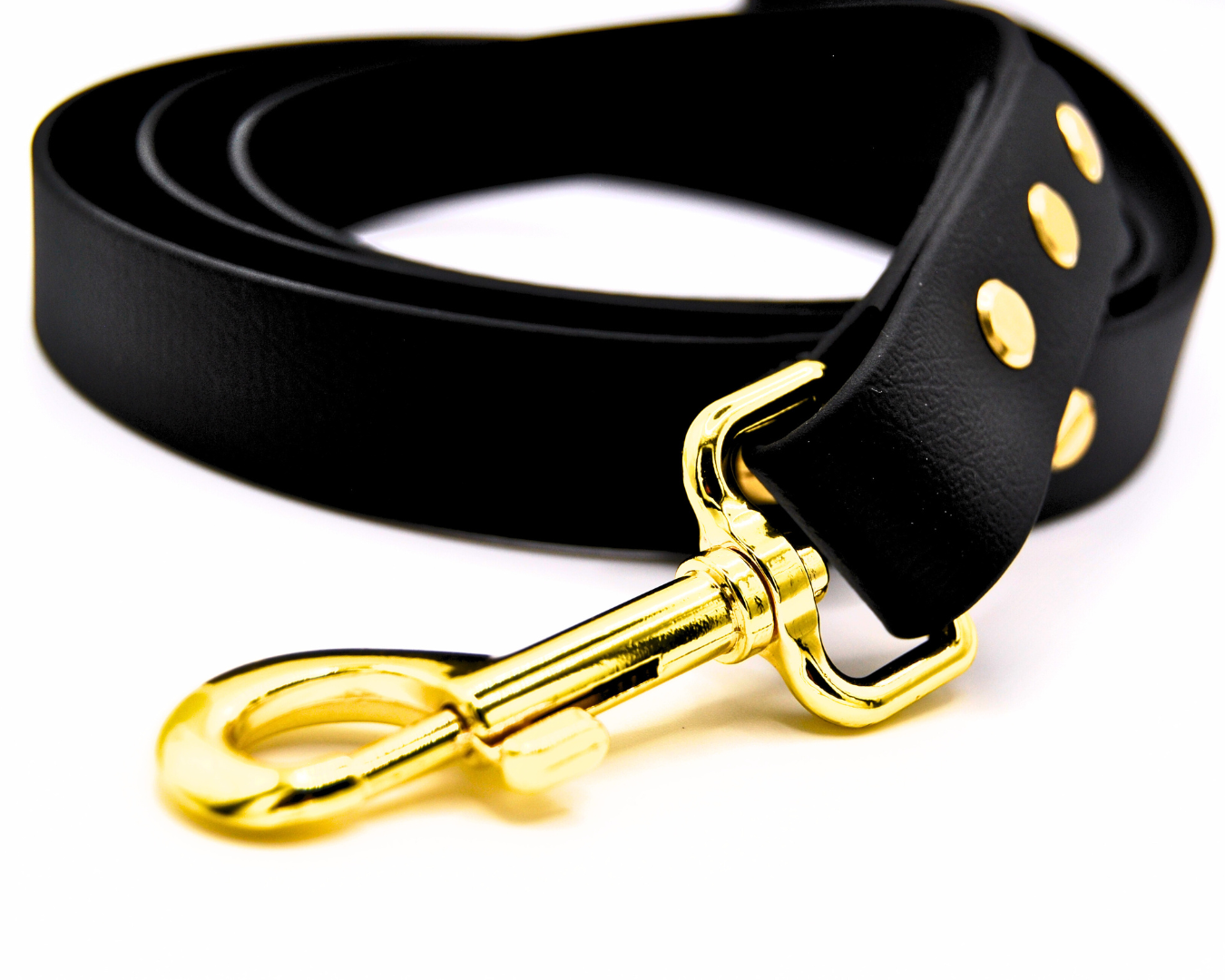 The Axel Lead – Limited Edition
