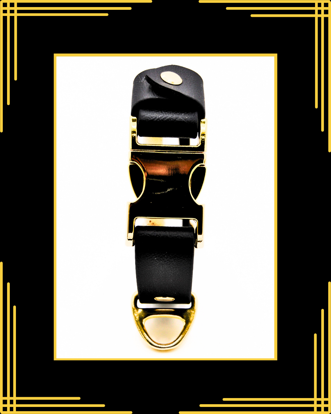 The Axel Collar – Limited Edition