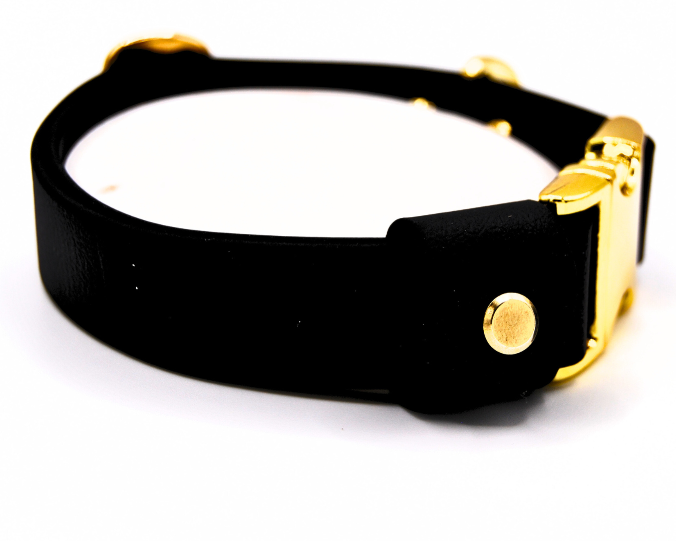 The Axel Collar – Limited Edition