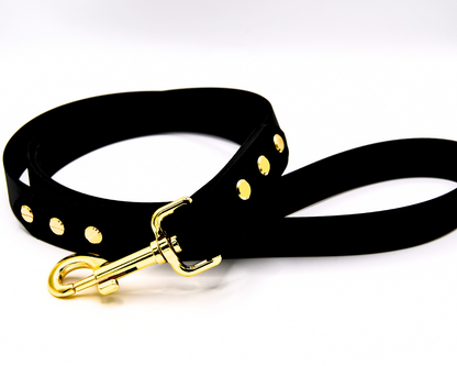 The Axel Lead – Limited Edition