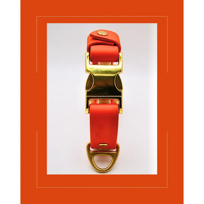 The Orange Huntsman Collar